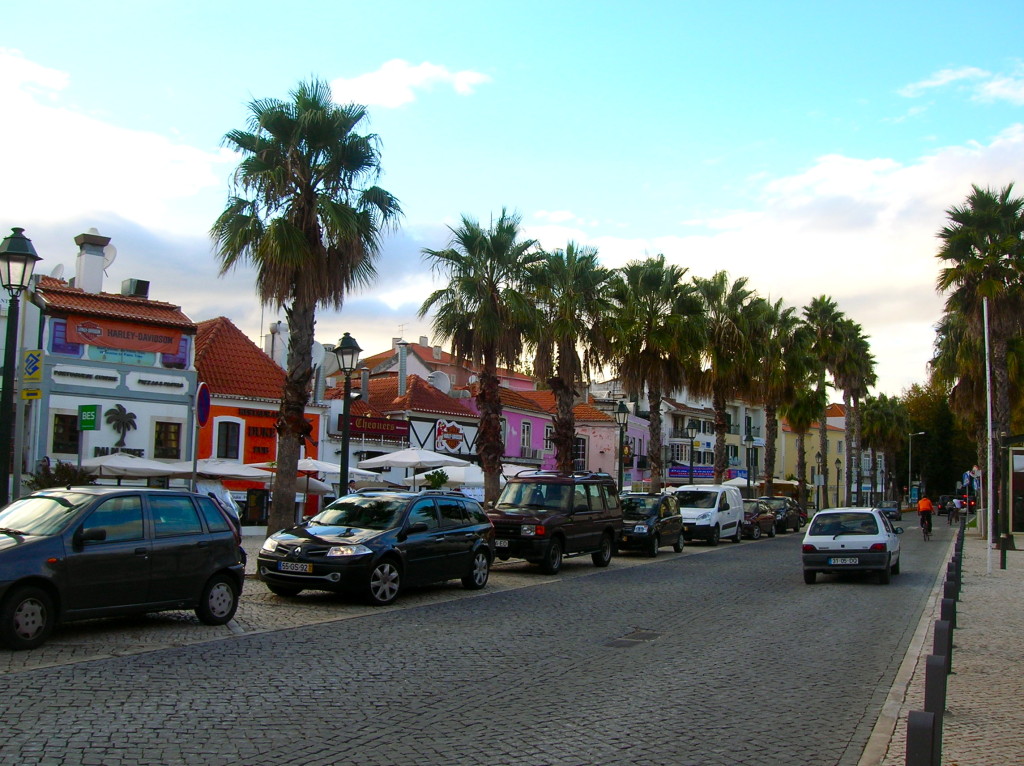 Cascais palm trees