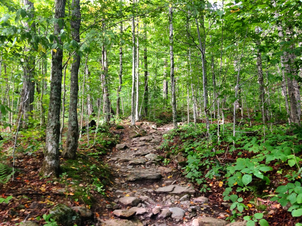 Camel's Hump