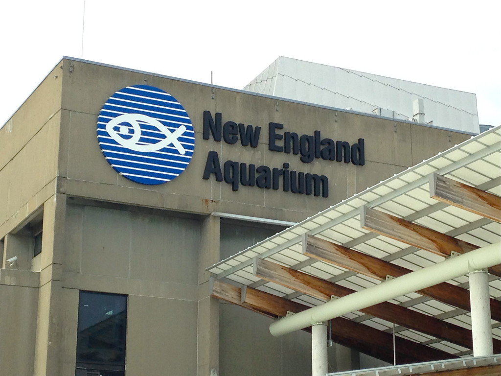 New England Aquarium