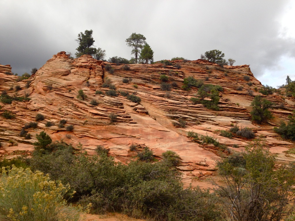 Zion National Park