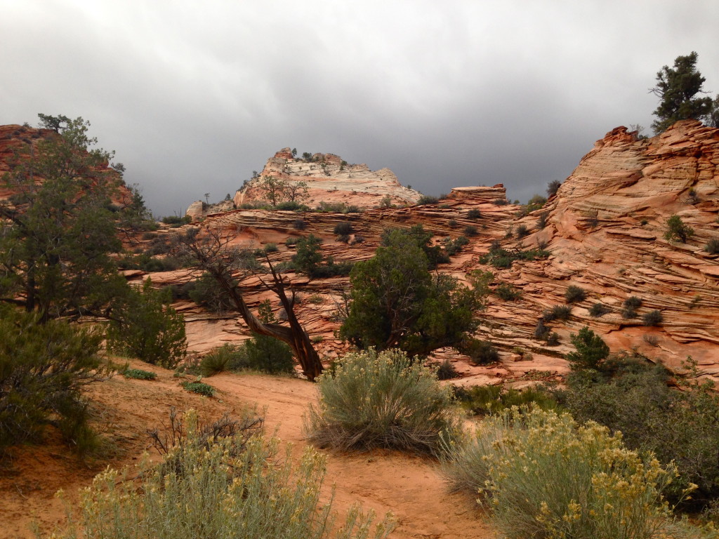 Zion National Park