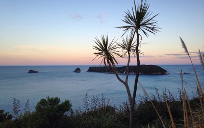 Coromandel Peninsula: Beautiful NZ Getaway