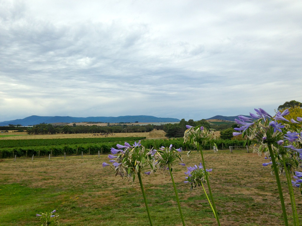 Yarra Valley