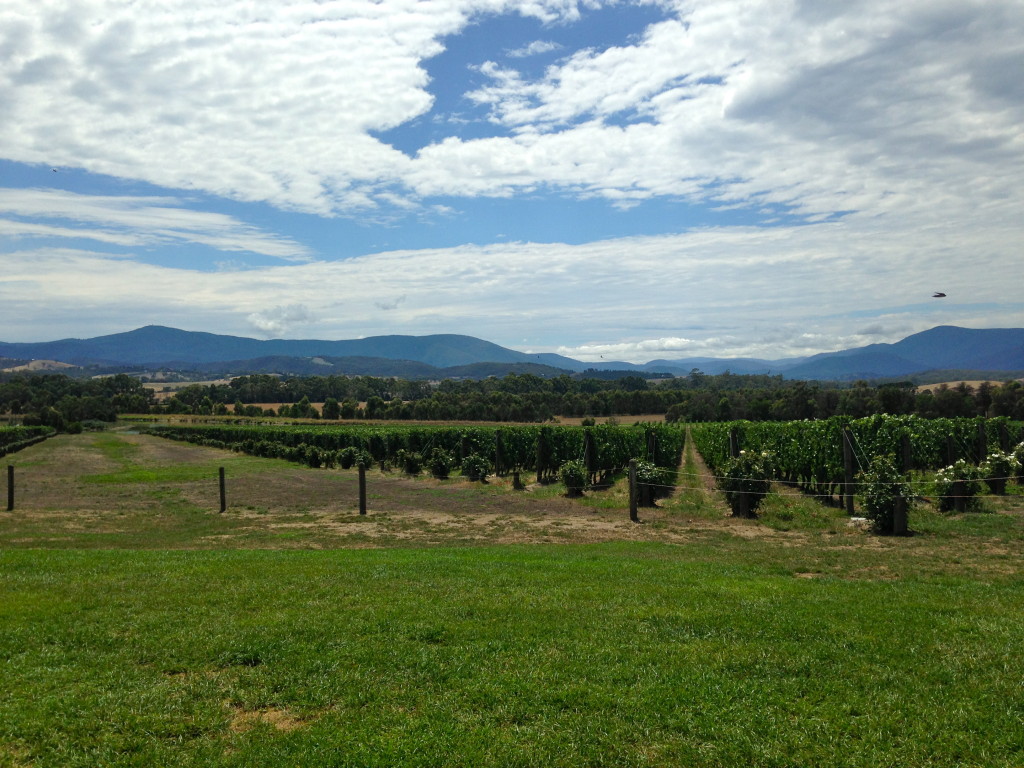 Yarra Valley