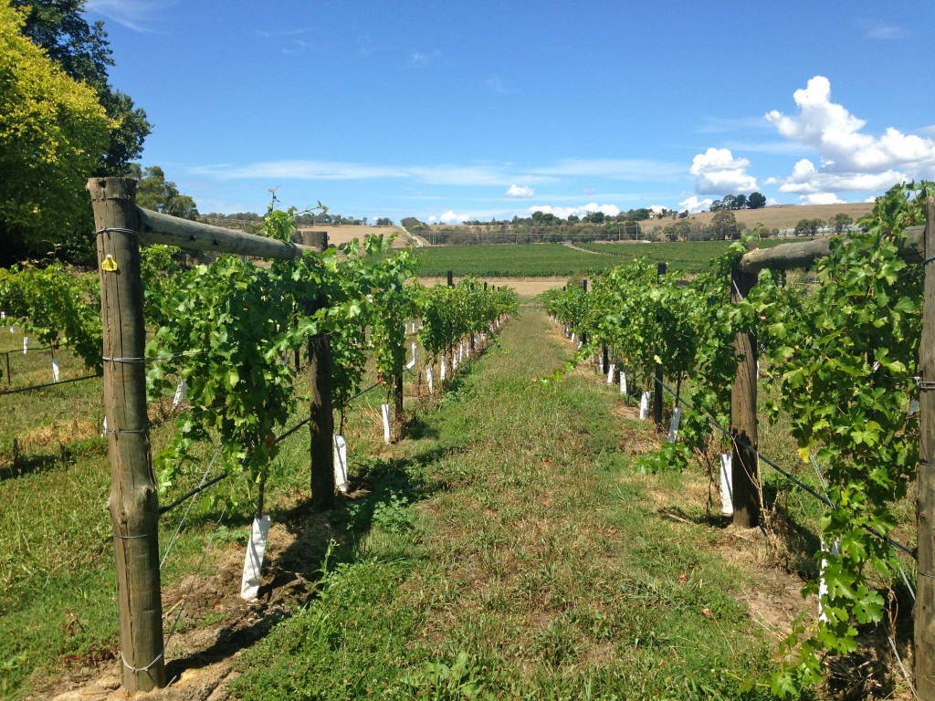 Yarra Valley