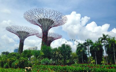 Singapore: What To See And Do In The Lion City
