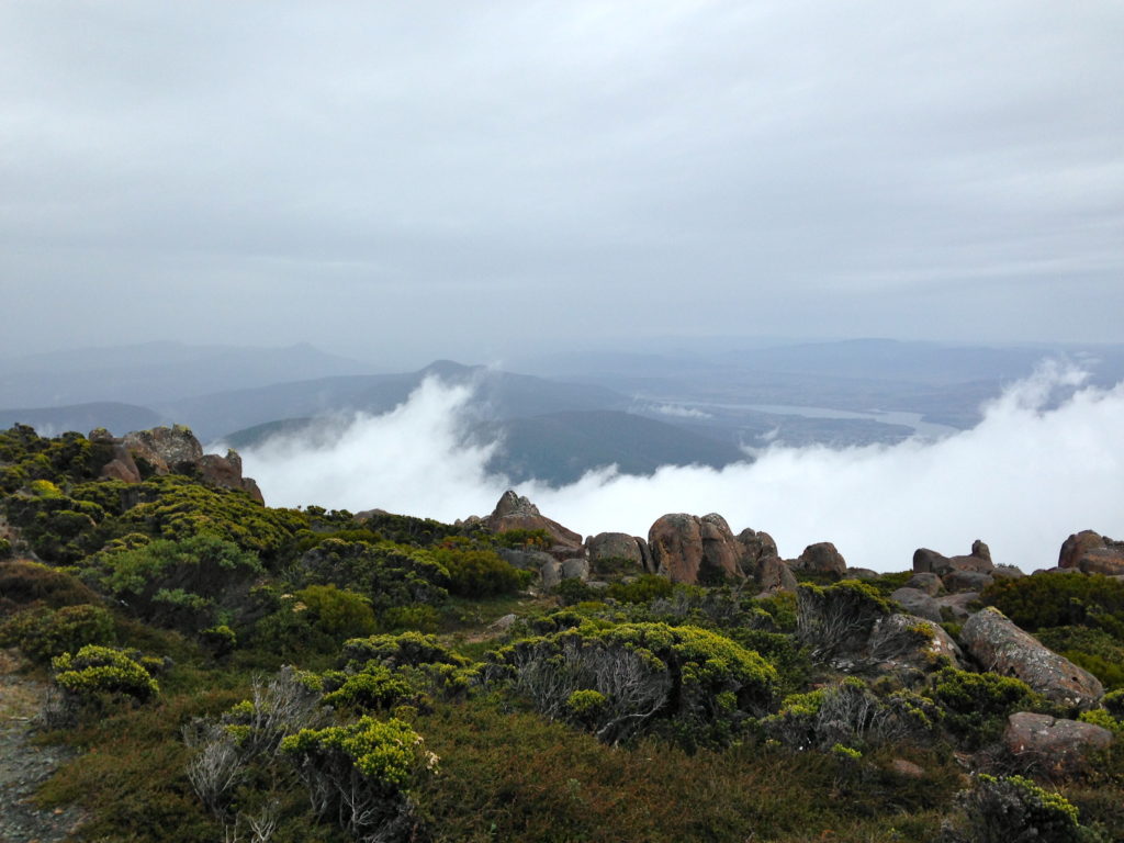 Mount Wellington