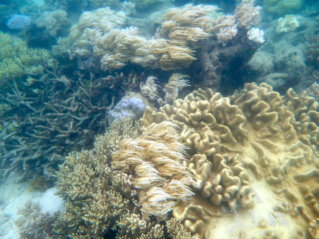 Great Barrier Reef