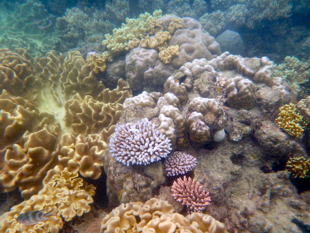 Great Barrier Reef