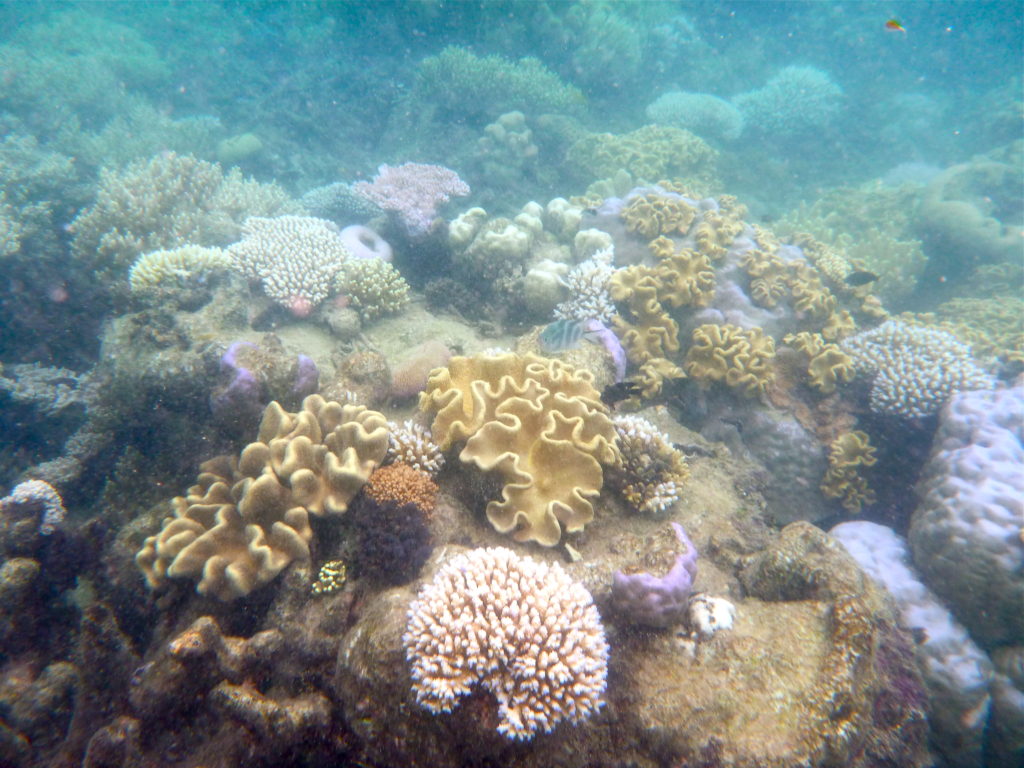 Great Barrier Reef