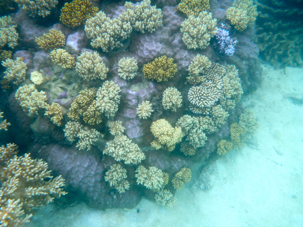 Great Barrier Reef