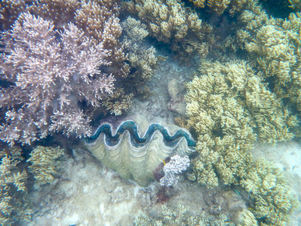 Great Barrier Reef