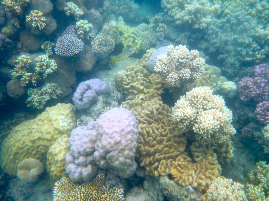 Great Barrier Reef