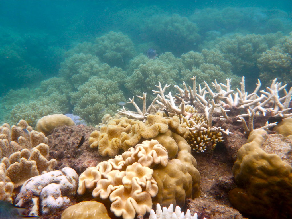 Great Barrier Reef