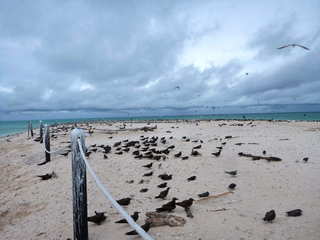 Great Barrier Reef