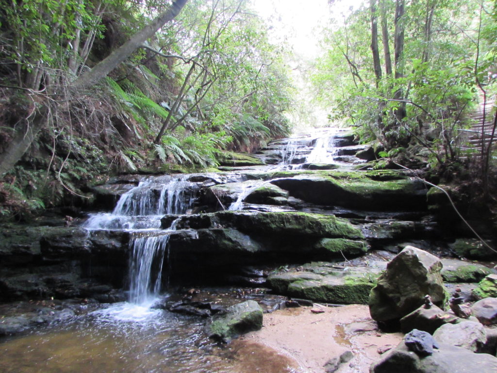 Blue Mountains