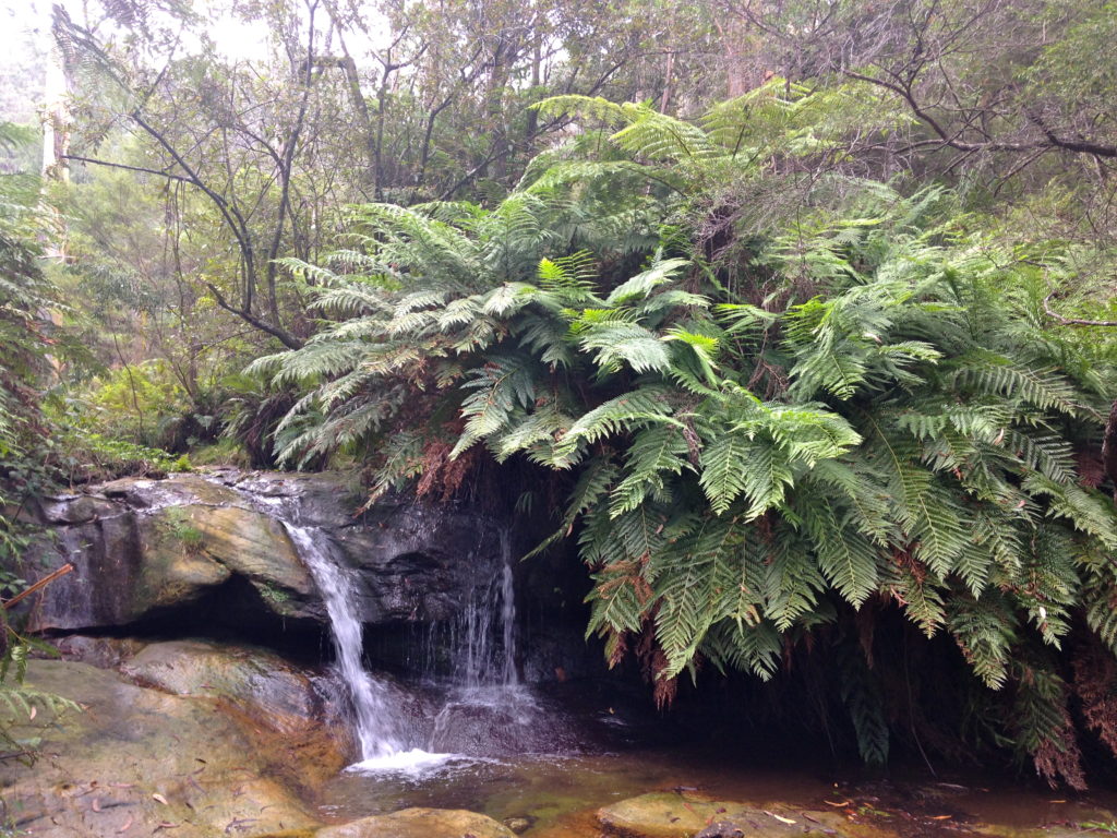 Blue Mountains