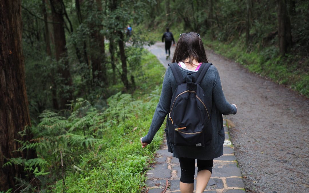 Melbourne’s Best Hike: The 1000 Steps