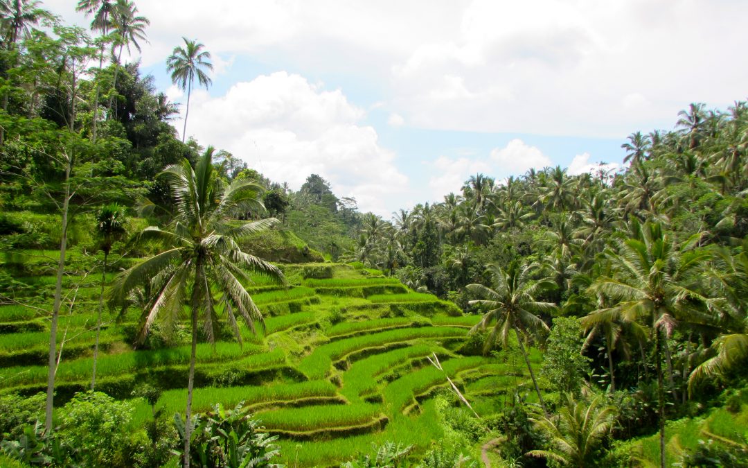 Visiting the Ultimate Paradise: Bali, Indonesia