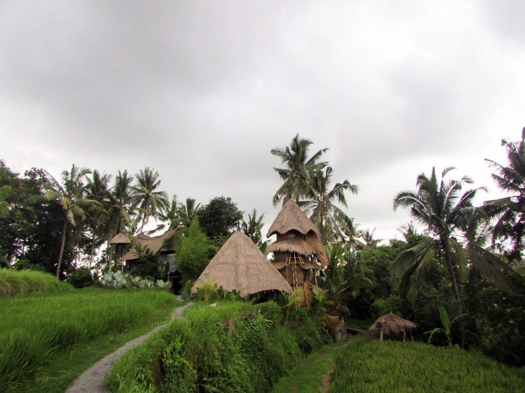 Bali Airbnb