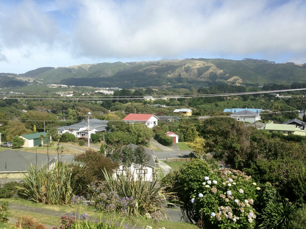 Wellington Airbnb