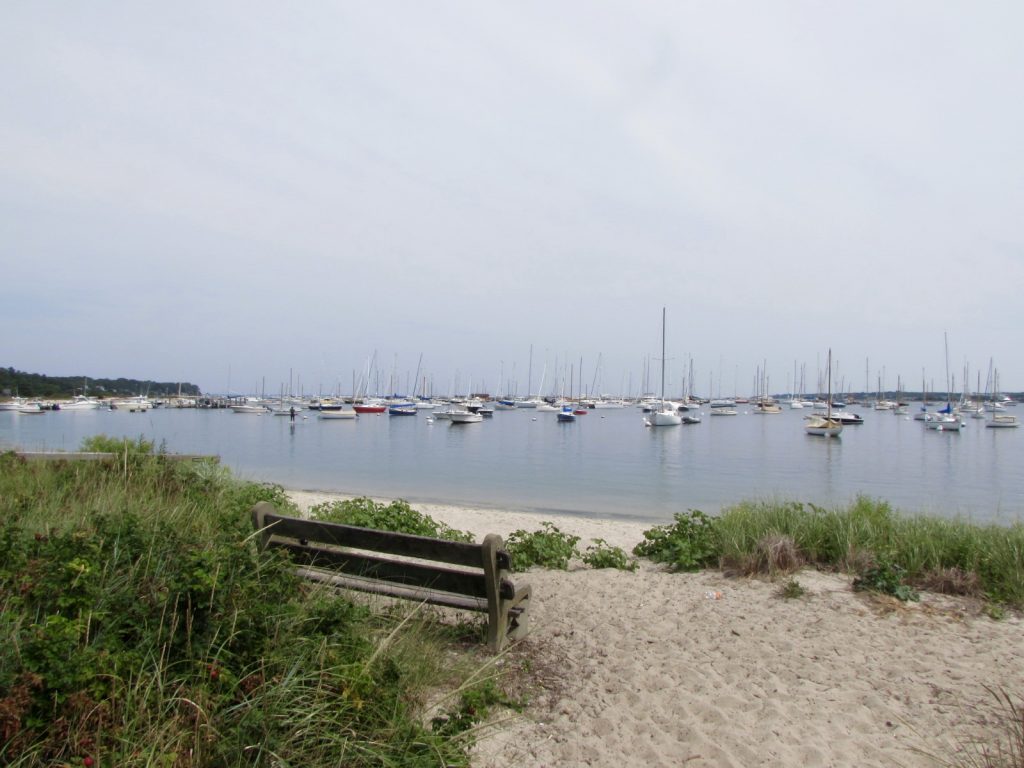 day on Martha's Vineyard