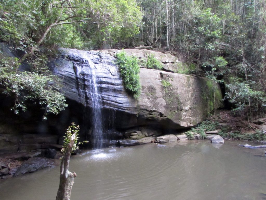 sunshine coast queensland australia