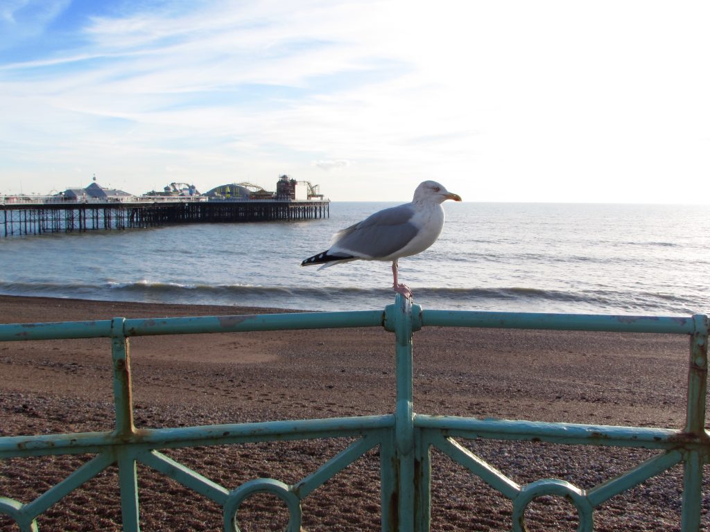 brighton england