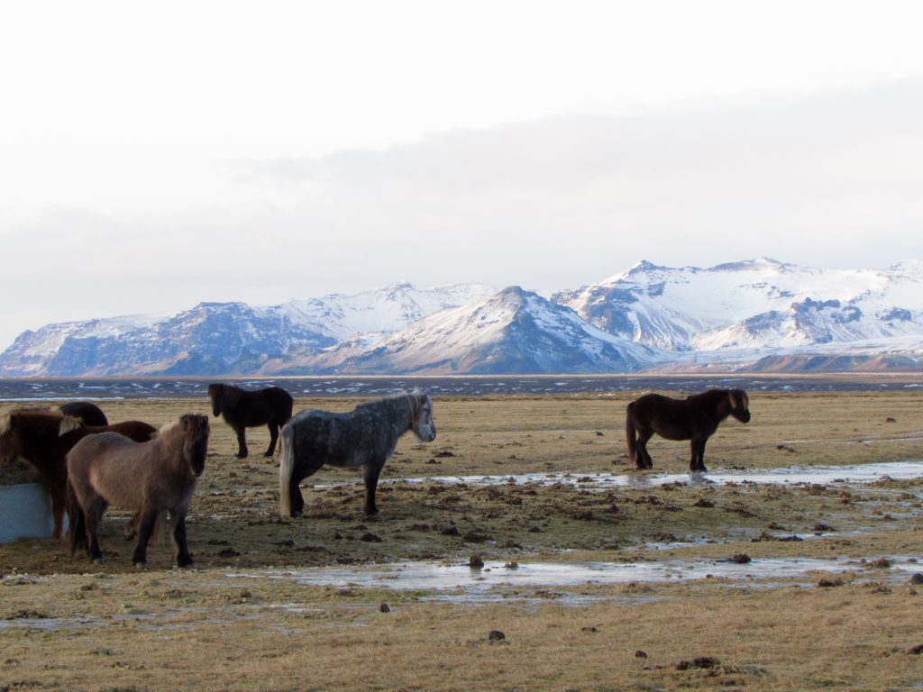 Iceland