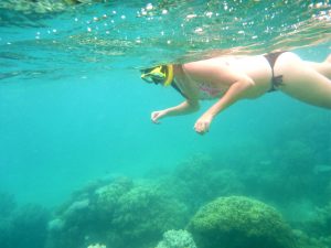 snorkel great barrier reef australia